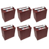 T-875 8V 170Ah Flooded Lead Acid GC2 Deep Cycle Battery x6