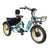 20 48V/14AH 750W Folding Electric Tricycle with Wide Tires, 150 kg (96817362)