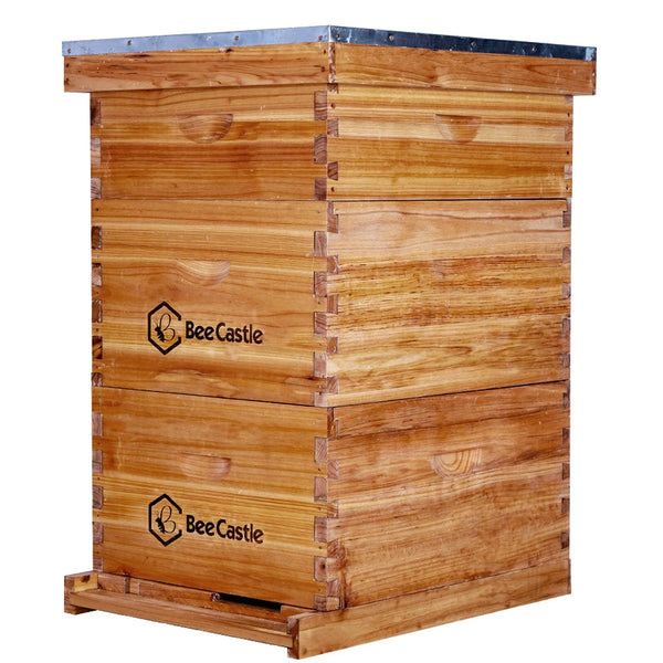 10 Frame Langstroth Bee Hive Coated