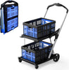 Foldable Grocery Cart with Wheels and Removable Storage Crate, Collapsible Shopping Cart, 2-Tier Portable Utility Cart for Home, GroceriesSupermarket