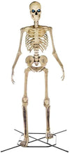 2025 Home Accents 12 ft. Giant-Sized Skeleton with LifeEyes NO250058