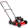 20-inch petrol lawnmower with 125cc displacement and Briggs & Stratton engine