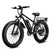 EB26 750W 720WH UL2849 Electric Bike Mountain Bicycle E Bike 26" Fat Tire 20MPH for Adult