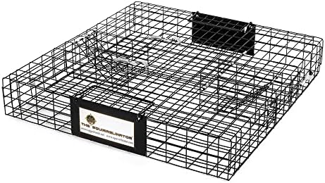 2025 Rugged Ranch Squirrelinator 2 Door Small Metal Wire Multi-Catch Live Animal Squirrel Catch & Release Cage Trap for Pest Control Black