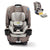 4Ever DLX 4-in-1 Child Car Seat, Charlie | Car seat for babies and toddlers, 10 years of use | Rear-facing, forward-facing and booster seat | Safe, comfortable and practical