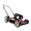 Hand lawnmower with Briggs & Stratton engine